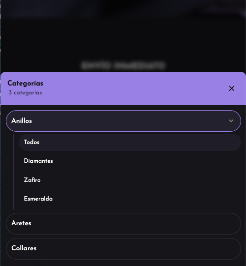 Subcategorías navegables en el menú digital del cliente